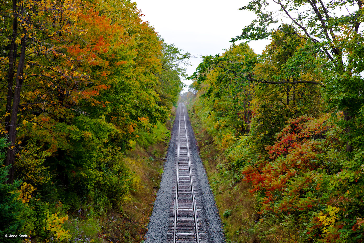 Toronto photographer